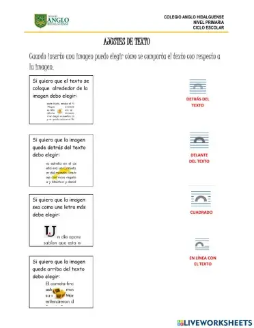 Opciones de diseño imagenes