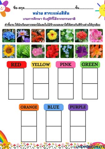 เกมการศึกษา หน่วยสาระแห่งสีสัน