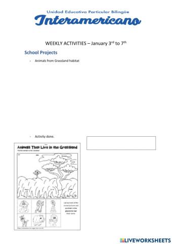 Weekly activities 34