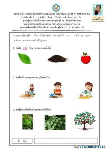 ตอบคำถามเรื่องต้นไม้