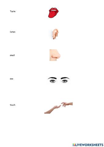 Senses