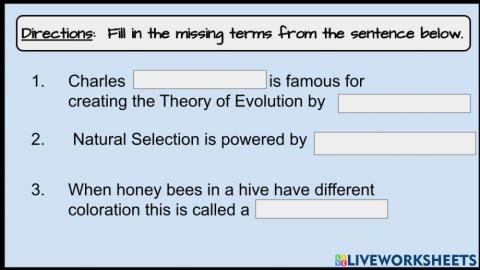 Evolution Vocabulary