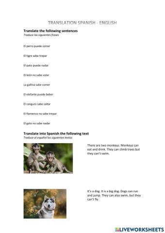 Translation: basic sentences with CAN - CAN'T