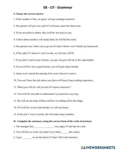 E8-U7-Grammar exercises