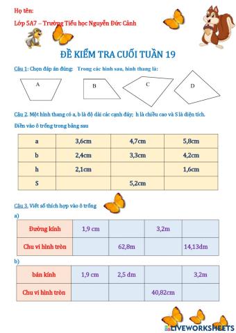Bài tập toán 5 tuần 19