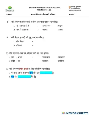 क्या सीखा आपने-व्याकरणिक कार्य- कार्य पत्रिका