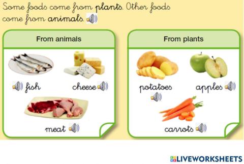 Where do foods come from?