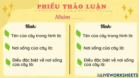 Phiếu thảo luận