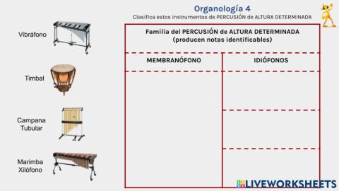 Organología 4
