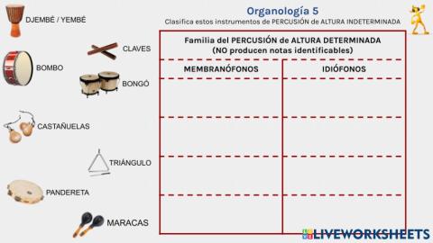 Organología 5