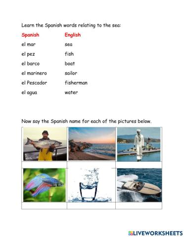 Sea words in spanish