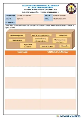 Causas y consecuencias del trabajo infantil