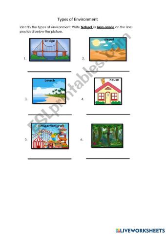 Types of Environment