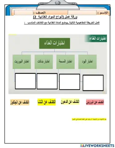 ورقة عمل انواع المواد الغذائية 2