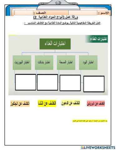 ورقة عمل انواع المواد الغذائية 2