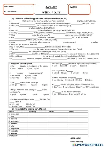 Quiz-13-TED-January-2022