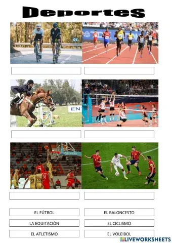 Los deportes