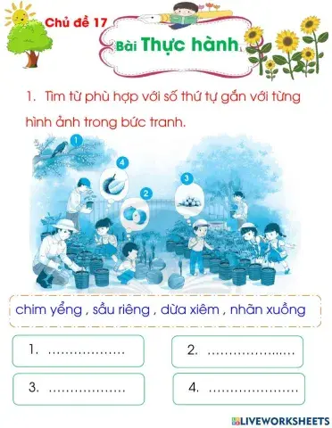 CĐ 17 Bài Thực hành