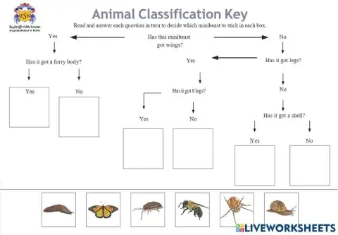 Minibeast Dichotomous Key