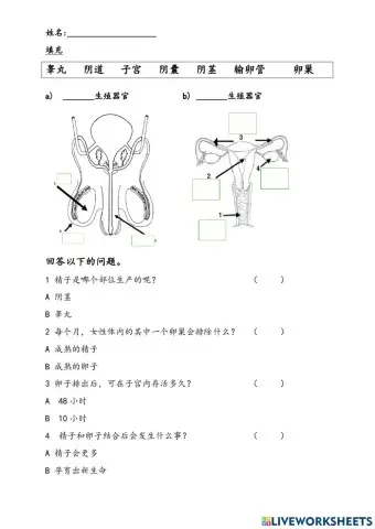 5年级健康教育 单元1