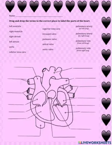 Heart Diagram-Labeling
