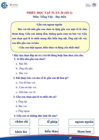 Tiếng việt nâng cao tuần 20