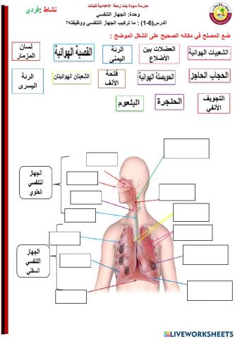 أ.هالة عبدالعزيز