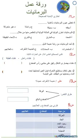 ورقة عمل البرمائيات