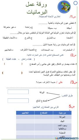 ورقة عمل البرمائيات