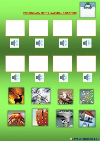 Natural Disasters Vocabulary