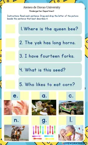 Cycle 5 Session 2 digraphs -ee- and -or- sentences