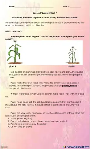 Enumerate the needs of plants in order to live, their uses and habitat.