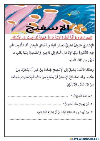 فهم المفروء الإسفنج