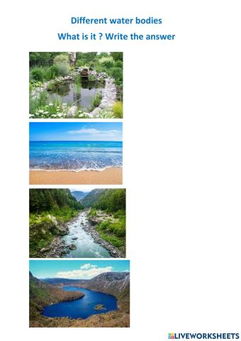 Different water bodies