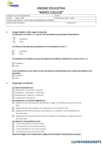 Evaluación Formativa
