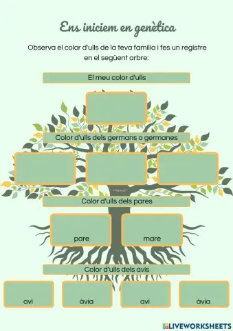 Ens iniciem en genètica