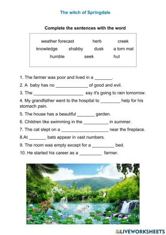 The witch of Springdale