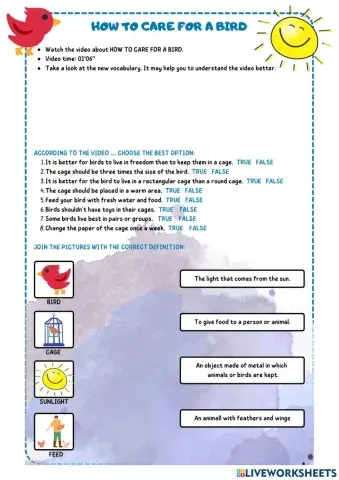 How to care for birds