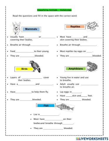 5 Groups Vertebrates