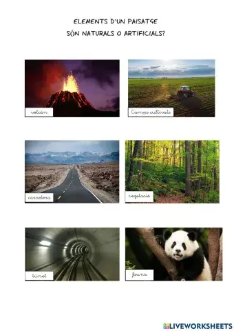 Elements del paisatge