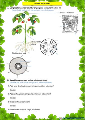 Tugas Struktur Organ pada Tumbuhan