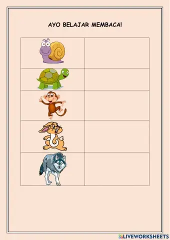 Kura-kura dna kelinci sombong