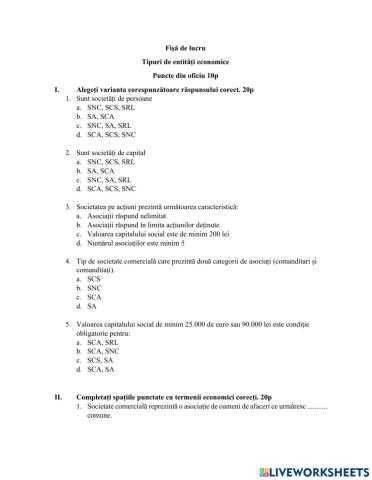 Fisa de lucru Tipuri de entitati