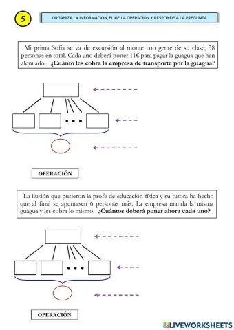 Estructura Multiplicativa (5)