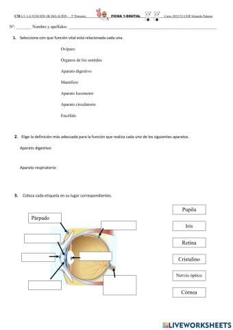 La función de relación