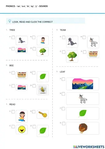 Phonics sounds - ‘ea’, ‘e-e’, ‘ie’, ‘ey’, ‘y’