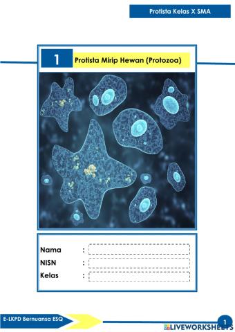 E-LKPD Bernuansa ESQ Pada Materi Protista (Protozoa)
