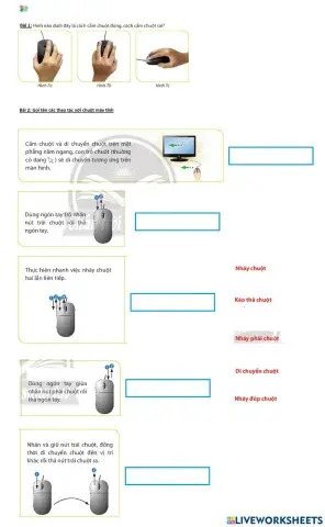 Các thao tác với chuột máy tính