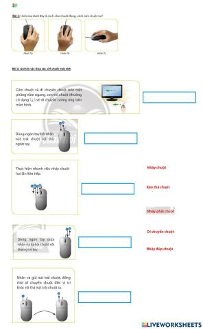 Các thao tác với chuột máy tính