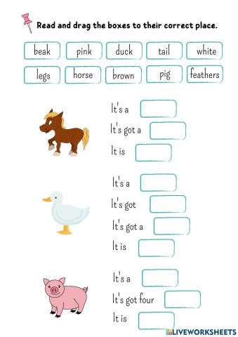 Describing Farm Animals